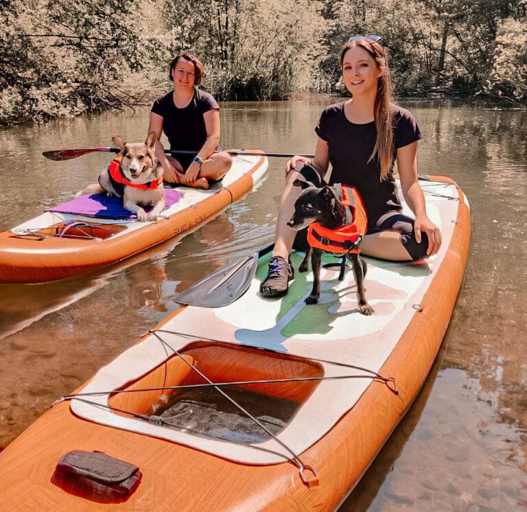 SUP mit Hund Hundefitnesstrainerin gibt Tipps zum WassersportTrend