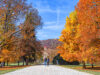 Schloss Eggenberg Park im Herbst