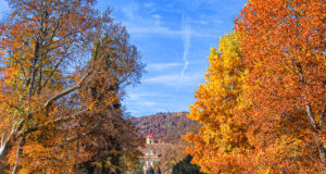 Schloss Eggenberg Park im Herbst