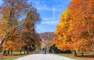 Schloss Eggenberg Park im Herbst