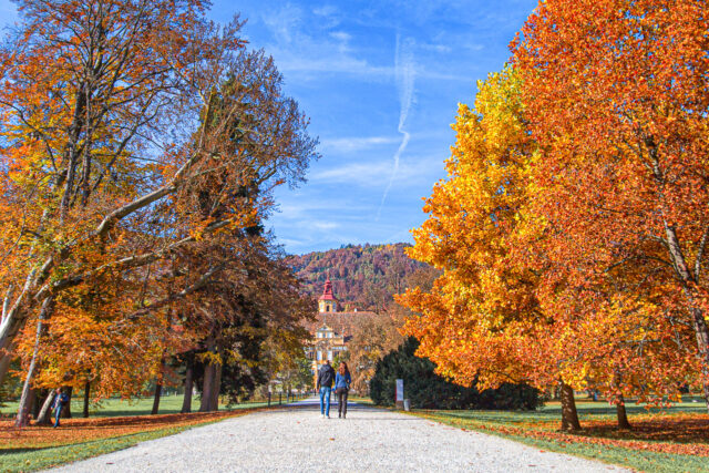 Schloss Eggenberg Park im Herbst