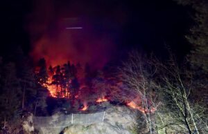 Waldbrand durch Feuerwerk